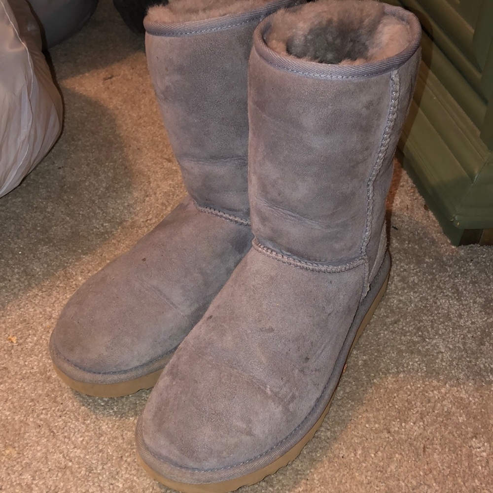 lavender ugg boots